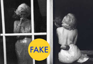 Illustration for article titled 86 Viral Images From 2014 That Were Totally Fake
